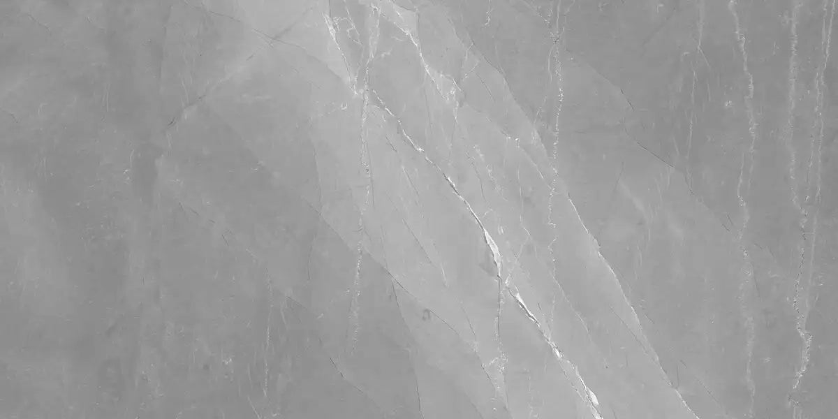 ARMANI ELEGANT GREY  60X120 CM MATT