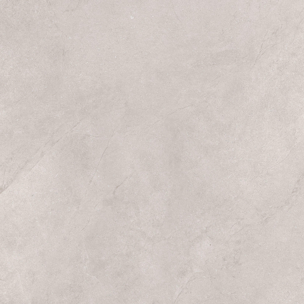 RENDER GREY 100X100 CM MATT - Surfaces Tiles