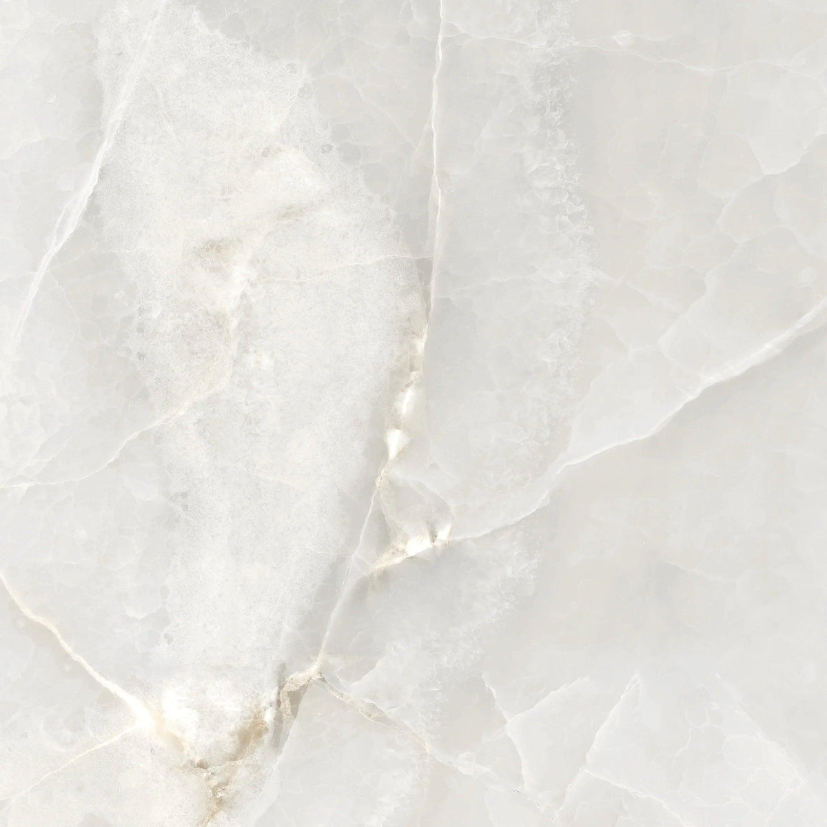 OPAL GREY 60X60 CM POLISHED - Surfaces Tiles