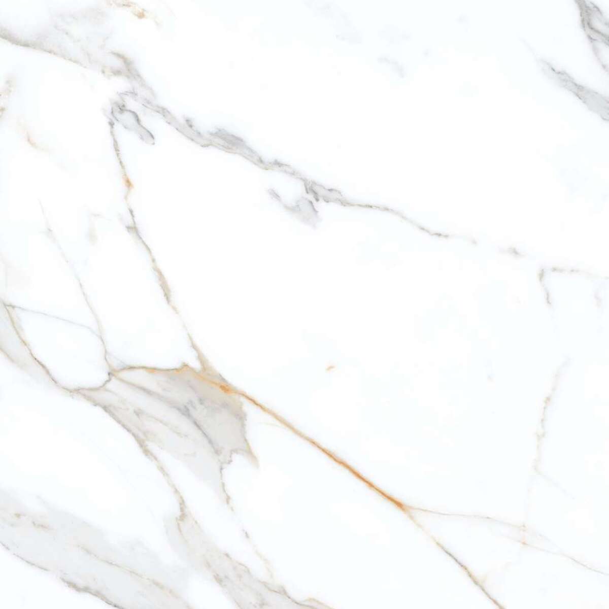 CALACUTTA REGINA 60X120 CM MATT