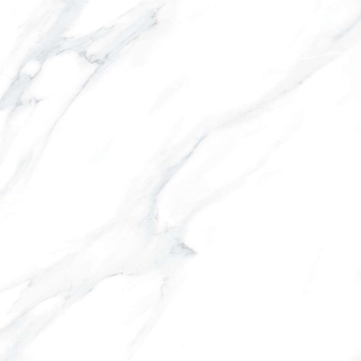 CALACATTA GLORIA 60X120 CM SATIN