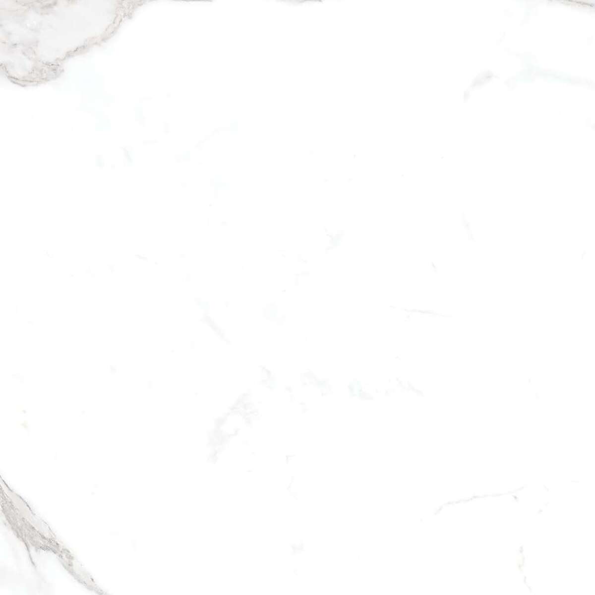 CALACATTA GRACIA 60X120 CM POLISHED