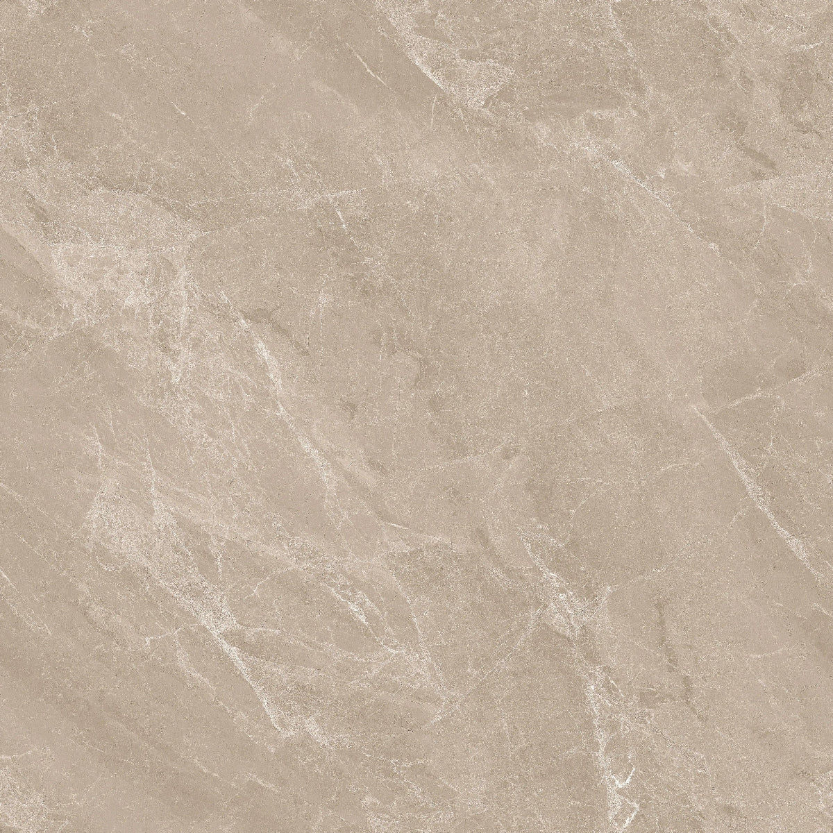 MYSTIC BROWN ENDLES 60X60 CM POLISHED - Surfaces Tiles