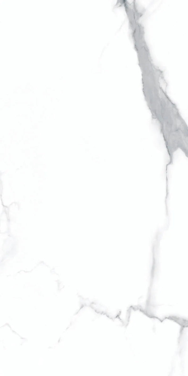 MARMO ELEGANTE STATUARIO MATT 60X120 CM