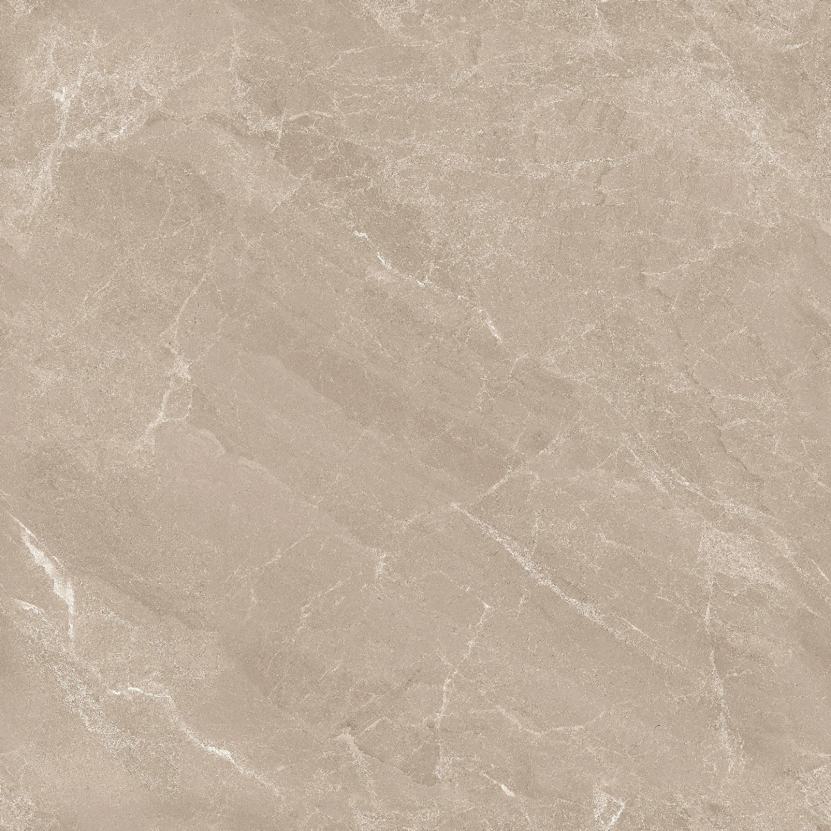 MYSTIC BROWN ENDLES 60X60 CM POLISHED - Surfaces Tiles