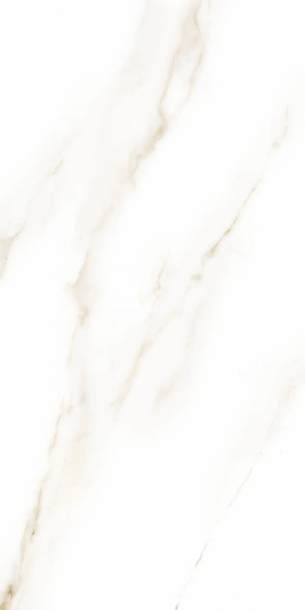 MARMO ELEGANTE CALACATTA MATT 60X120 CM