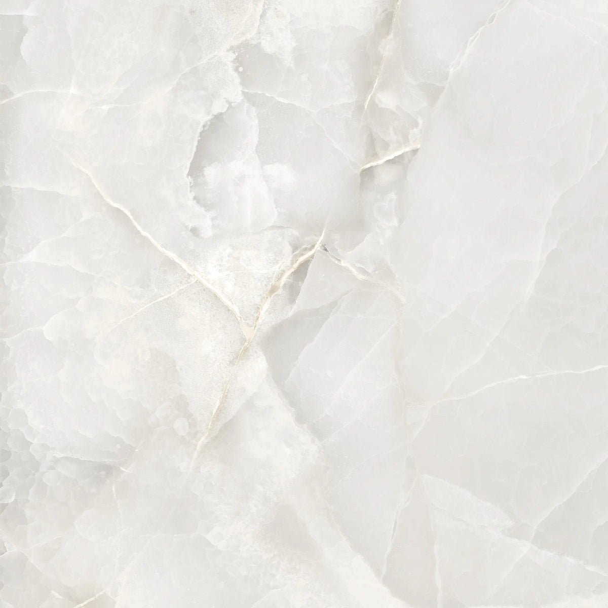 OPAL GREY 60X60 CM POLISHED - Surfaces Tiles